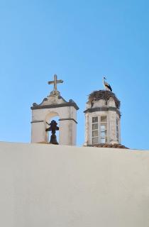 The Singular - Downtown Studio - Faro - 0