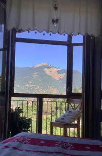 La cerbiatta - 5