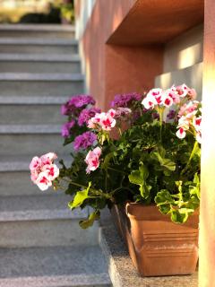 Casa Ilaria - Armeno - 1