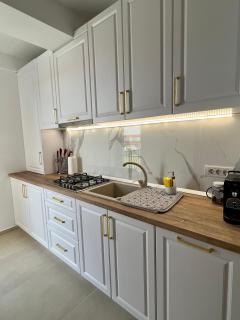 Modern Apartment in Timisoara - 5