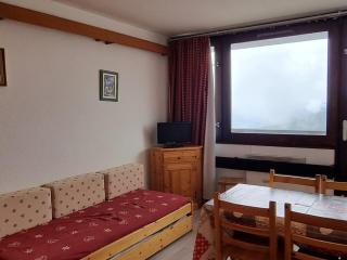 Studio agréable aux pieds des pistes avec balcon et animaux tolérés - FR-1-181-2591 - Aime-la-Plagne - 0