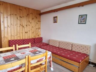 Studio agréable aux pieds des pistes avec balcon et animaux tolérés - FR-1-181-2591 - Aime-la-Plagne - 9