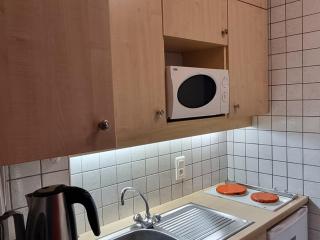 Studio agréable aux pieds des pistes avec balcon et animaux tolérés - FR-1-181-2591 - 5