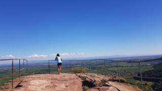 Gästezimmer Waldblick Leinsweiler - 2