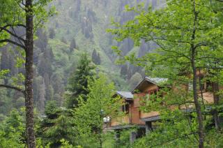 Kardelen Bungalov Evleri̇ - Ayder Yaylasi - 6
