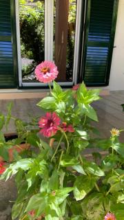Green Yard Family Holiday Home Sidari Corfu - Antipernoí - 8