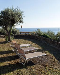 La CONCHIGLIA Bed & Breakfast - Camogli - 1