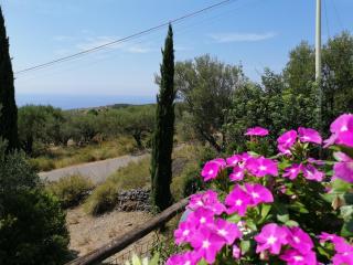 B&B Borgo San Antonio - Marina di Camerota - 2