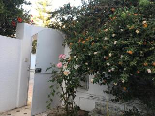 Maison Avec terrasse Garage - La Marsa - 1