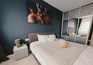 Luxurious Landing Apartment - Braşov - 7
