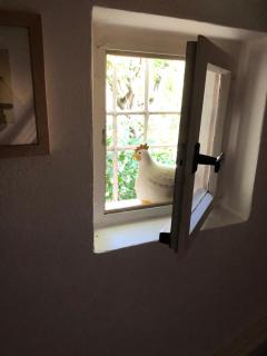 Ferienwohnung Beim Bienagassl - 7