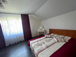 G&A Hunedoara Apartment - Hunedoara - 3