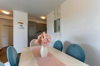 Premium apartment - 8
