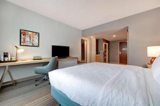 Hilton Garden Inn Tampa Northwest/Oldsmar - Oldsmar - 5