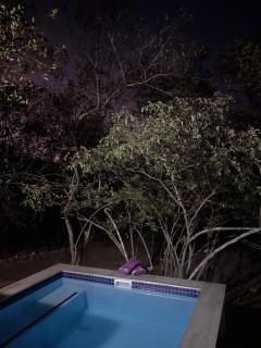 Villa de Leeu, Perfect for Two - Marloth Park - 8