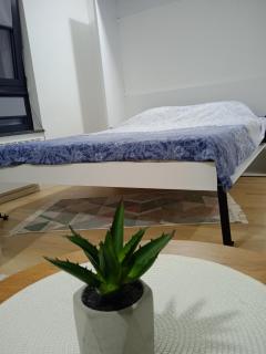 Pineta Apartman Bjelasnica - Bjelašnica - 1