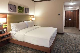 Hilton Garden Inn Astana - Astana - 2