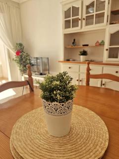 Casa Margarita - 4