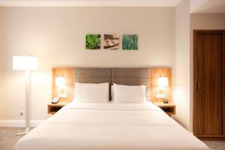 Hilton Garden Inn Bucharest Old Town - 6