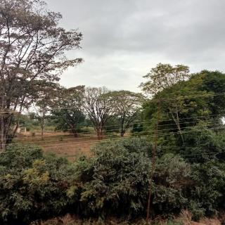 Jaymorgan' cabins - Nyeri - 5