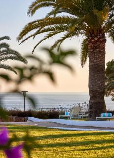 Hilton Mallorca Galatzo - Paguera - 5