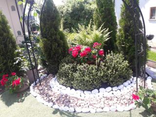Panorama - 5
