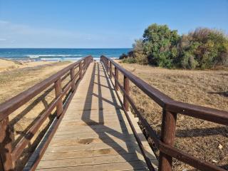 Lovely apartment near the beach in Sunny La Mata - Torrevieja - 7