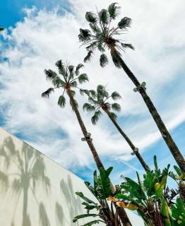 The Beverly Hilton - Los Angeles - 2