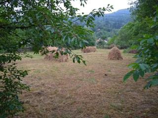 Camping-Dor de Munte - Bistricioara - 8