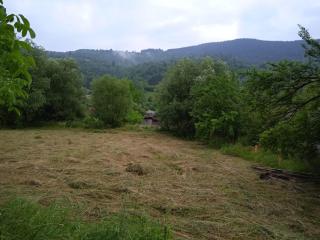 Camping-Dor de Munte - Bistricioara - 1