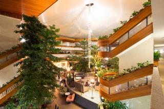 Pavilion On Northbourne - Canberra - 9