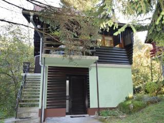 Restful Holiday Home in Vrbovsko - Vrbovsko - 9