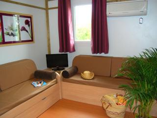 Chalet in France with Garden Terrace - Castelmoron-sur-Lot - 1