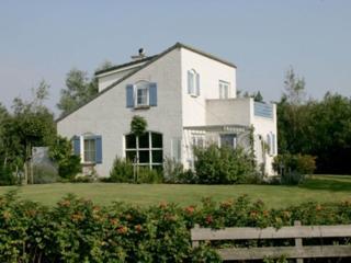 Chalet in Texel by Dunes and Water - 3