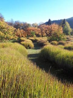 Casa cerca del lago - 1