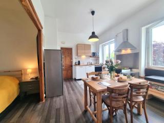 Appartement T2 avec terrasse, parking et wifi à St-Genest-Lerpt - FR-1-496-287 - Saint-Genest-Lerpt - 7