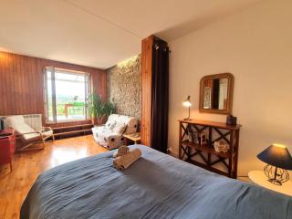 Appartement T2 avec terrasse, parking et wifi à St-Genest-Lerpt - FR-1-496-287 - Saint-Genest-Lerpt - 2