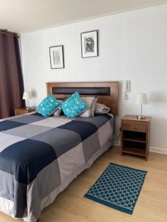 Agradable departamento, frente a la Quinta Vergara - Viña del Mar - 0