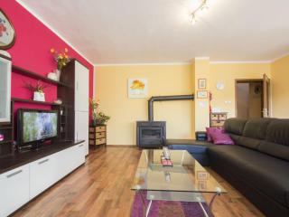 Adorable holiday home with private pool - Antovo - 3