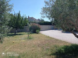 ROSE - Monteux - 1