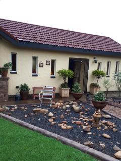 Forget me Not Lydenburg - Lydenburg - 0