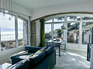 Panoramic Room in the vineyard,stunning views of lake and Alps - Puidoux - 7