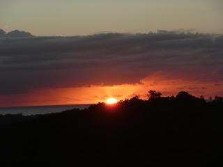 Coral Sea Views - Diwan - 1