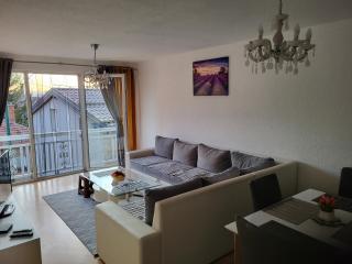 Deluxe Katana dream house old town, with parking garage - Sarajevo - 7