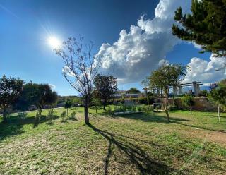 Casa Di Datca - Datça - 8