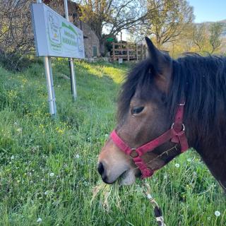 Segarati Relax La Maiolica - 1