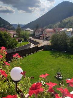 Bucovina DIA - 2