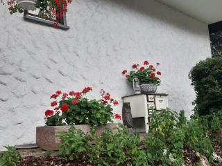 Ferienapartment Karle - Nordrach - 3