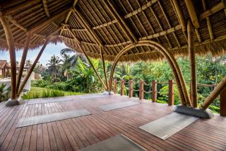 Villa Calamansi by BaliSuperHost - Ubud - 8