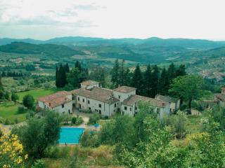 ISA-Farmhouse with swimming-pool in Chianti-area in the middle of Tuscan nature - Pelago - 5